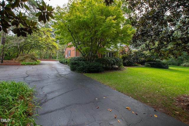 715 Powell Dr, Raleigh, NC 27606 - photo 5