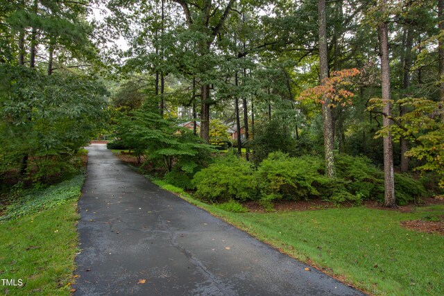 715 Powell Dr, Raleigh, NC 27606 - photo 4
