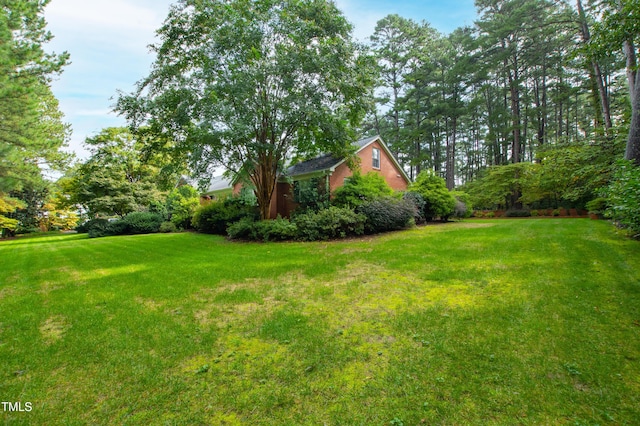715 Powell Dr, Raleigh, NC 27606 - photo 62