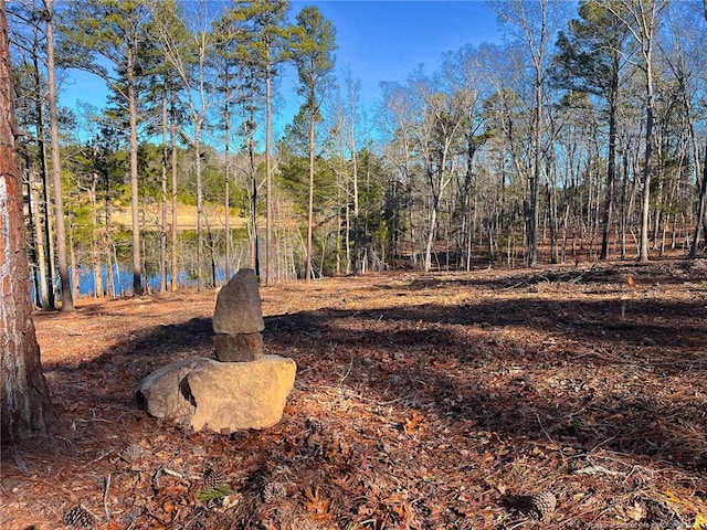 Jennifer Ln, Sanford, NC 27330