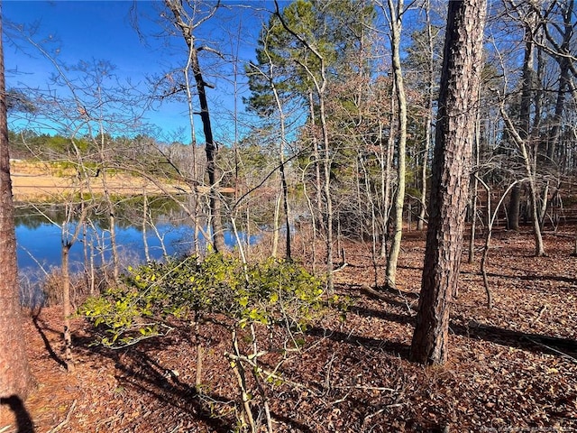 Jennifer Ln, Sanford, NC 27330
