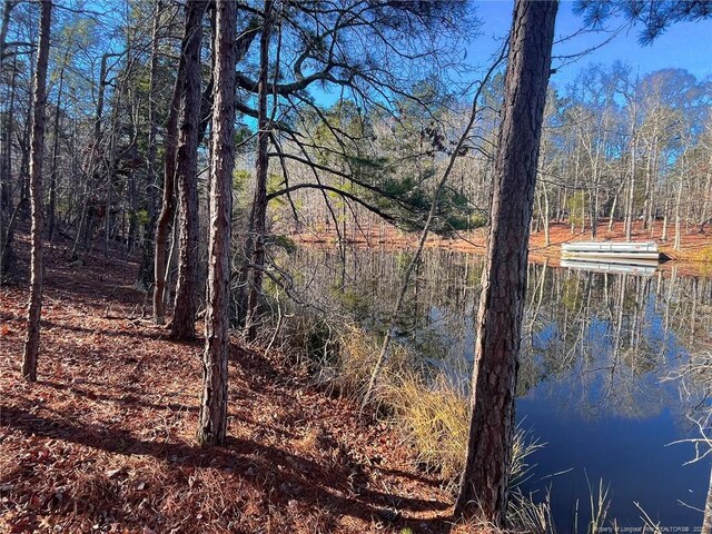 Jennifer Ln, Sanford, NC 27330