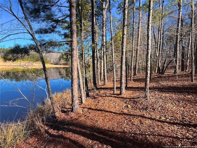 Jennifer Ln, Sanford, NC 27330