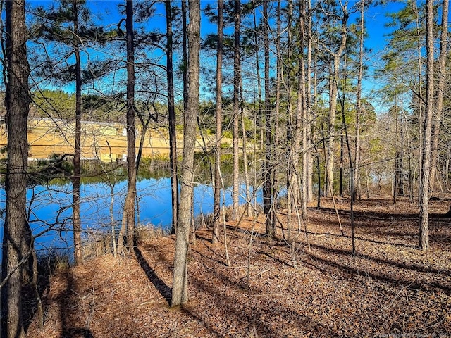 Jennifer Ln, Sanford, NC 27330
