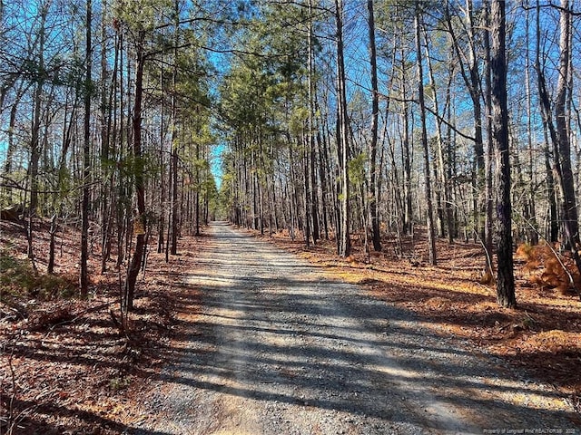 Jennifer Ln, Sanford, NC 27330