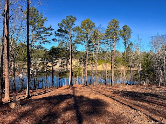 Jennifer Ln, Sanford, NC 27330 - photo 4
