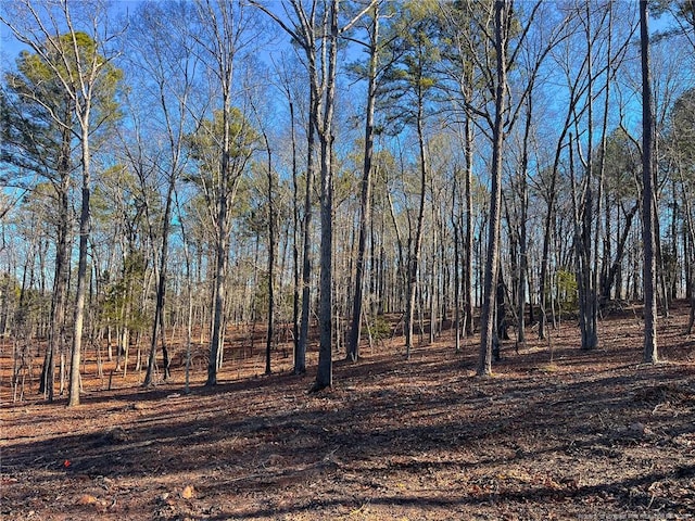 Jennifer Ln, Sanford, NC 27330 - photo 8