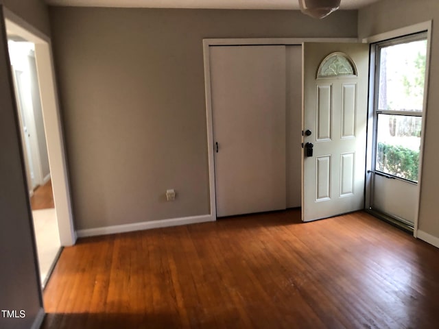 foyer entrance featuring hardwood / wood-style flooring