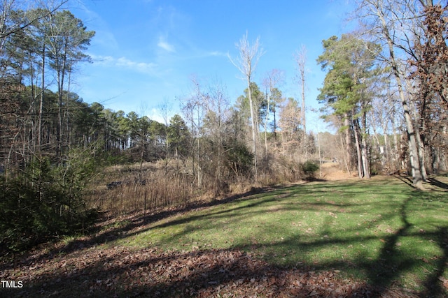 311 Denton St, Durham, NC 27713 - view of yard