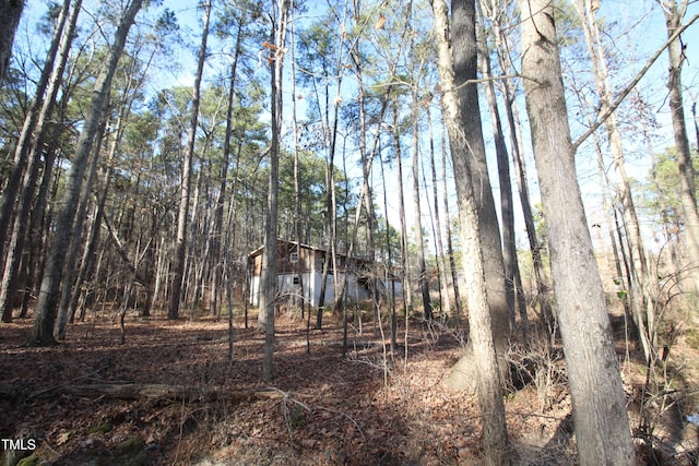 311 Denton St, Durham, NC 27713 - view of nature