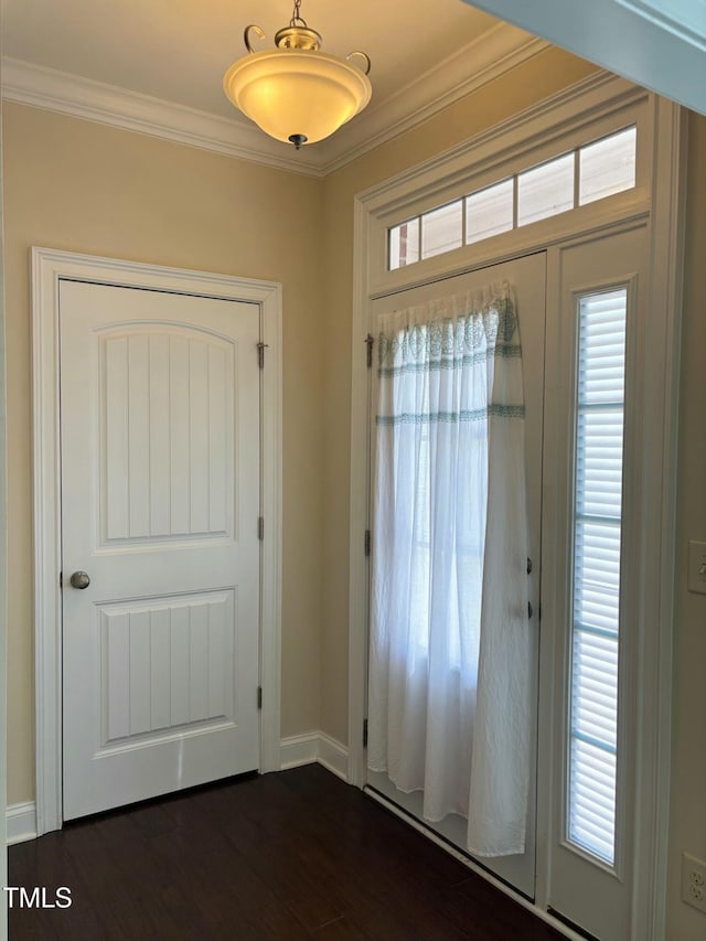 foyer with dark hardwood / wood-style floors, crown molding, and plenty of natural light