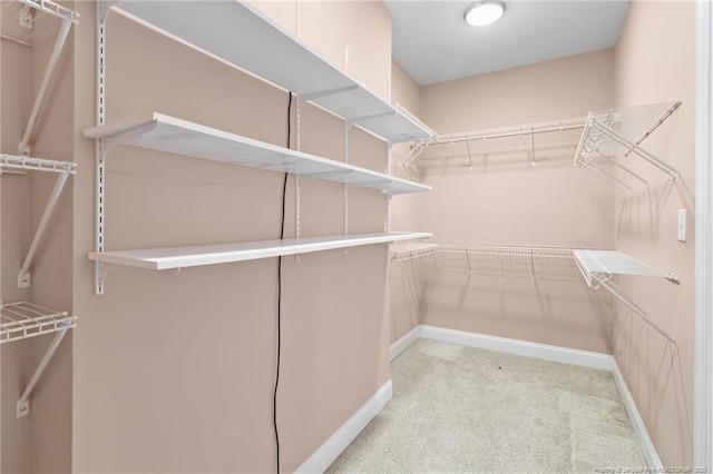 walk in closet with light carpet