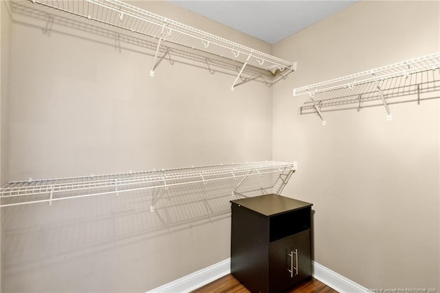 spacious closet featuring hardwood / wood-style floors