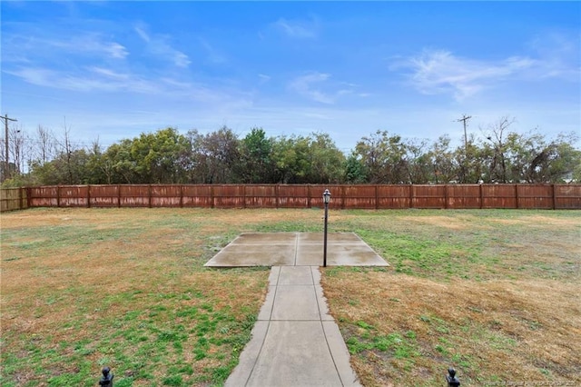 view of yard featuring a patio area