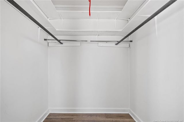 spacious closet featuring dark hardwood / wood-style flooring