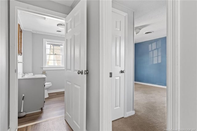 corridor with carpet floors and a textured ceiling