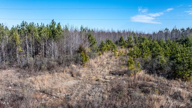 1100 Ben Smith Rd, Siler City, NC 27344 - photo 44