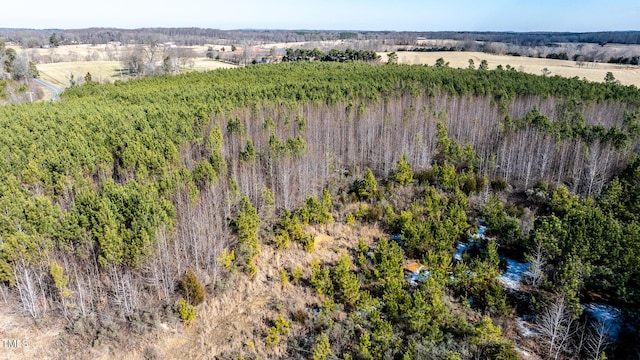 1100 Ben Smith Rd, Siler City, NC 27344 - photo 45