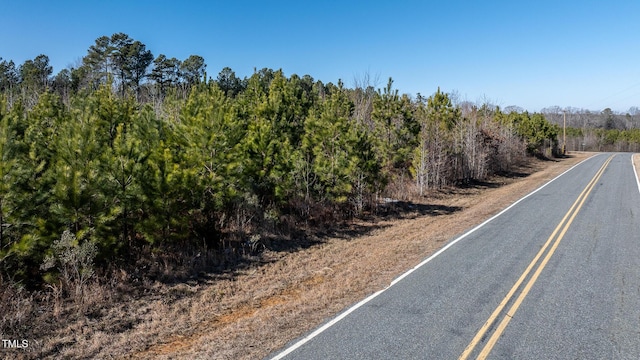 1100 Ben Smith Rd, Siler City, NC 27344 - photo 48