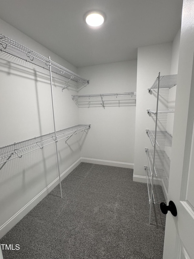 504 Tucker St, Four Oaks, NC 27524 - walk in closet with dark carpet