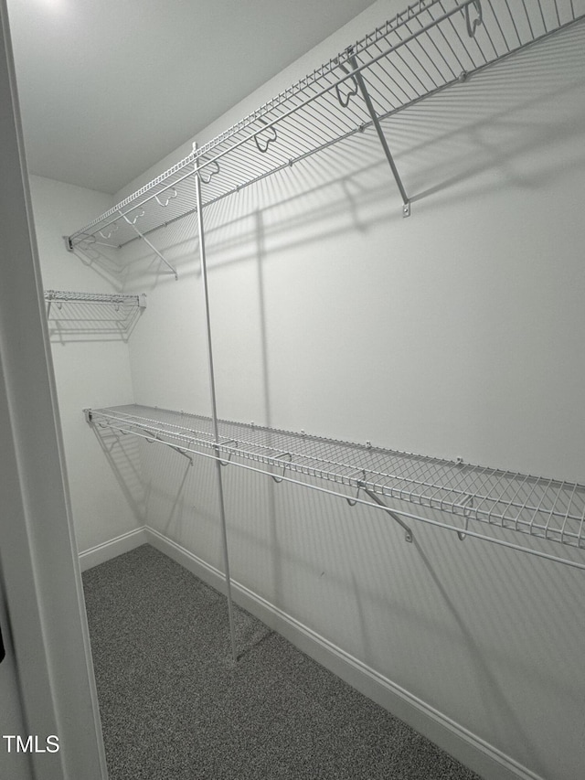 504 Tucker St, Four Oaks, NC 27524 - walk in closet featuring carpet floors