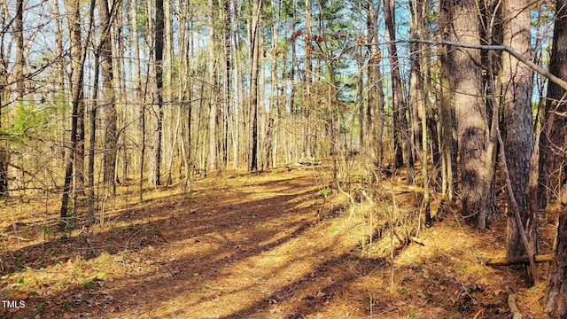 3337 Broughton Dr, Durham, NC 27704