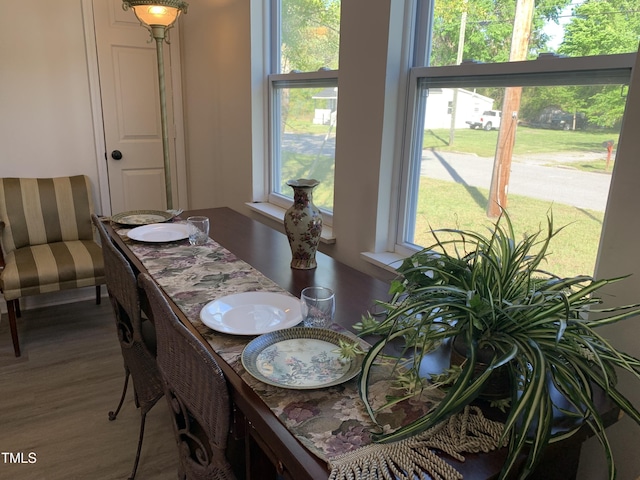 dining room featuring hardwood / wood-style floors