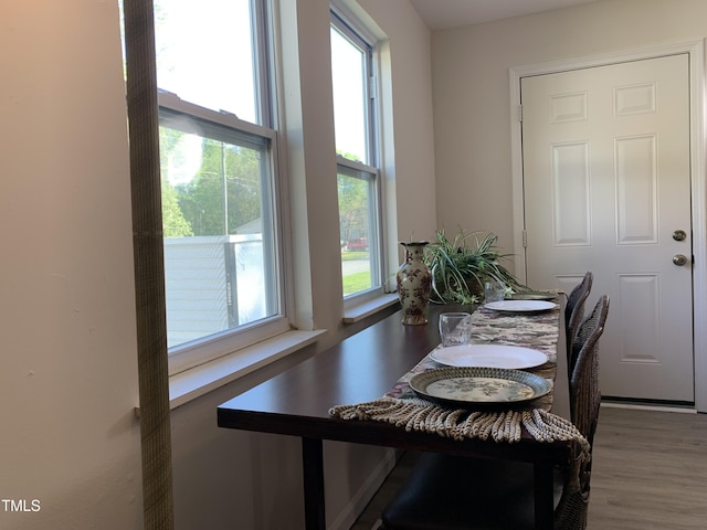 dining space with hardwood / wood-style flooring