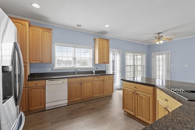 kitchen with dark hardwood / wood-style floors, dishwasher, sink, black cooktop, and stainless steel fridge