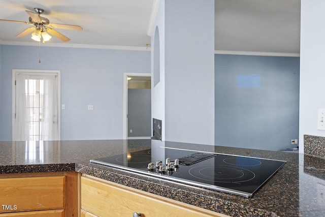 kitchen with ceiling fan, ornamental molding, and black electric cooktop