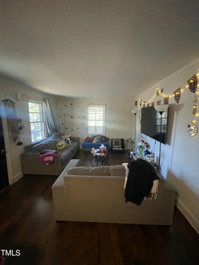 living room with a textured ceiling and hardwood / wood-style flooring