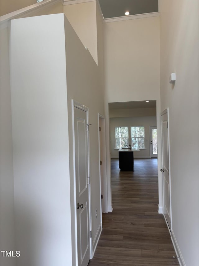 hallway with a high ceiling, crown molding, and dark hardwood / wood-style floors