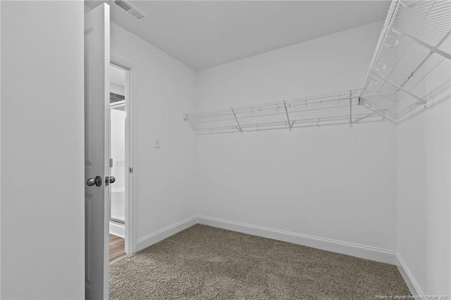 spacious closet with carpet