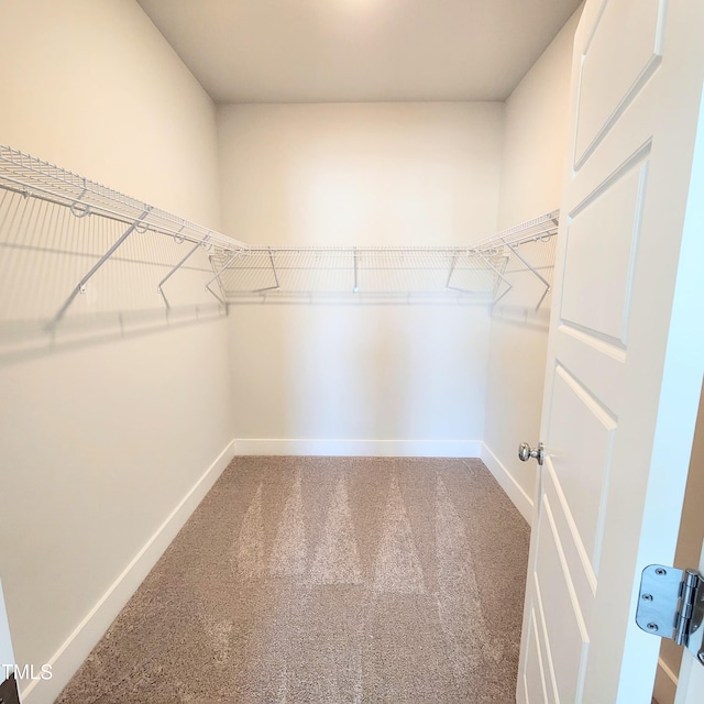 spacious closet with carpet flooring