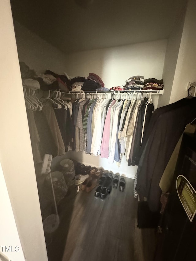 spacious closet with hardwood / wood-style flooring