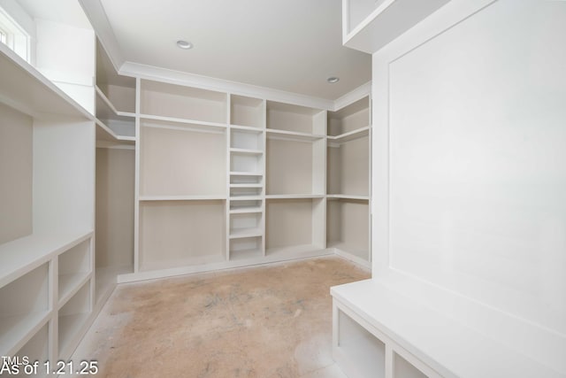 view of spacious closet