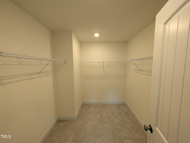 19 Grassland Dr, Garner, NC 27529 - spacious closet with carpet flooring