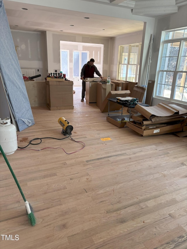 miscellaneous room with light hardwood / wood-style floors