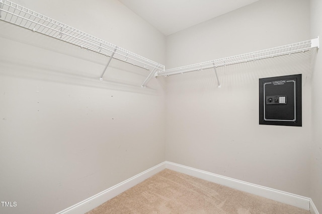 spacious closet featuring carpet floors