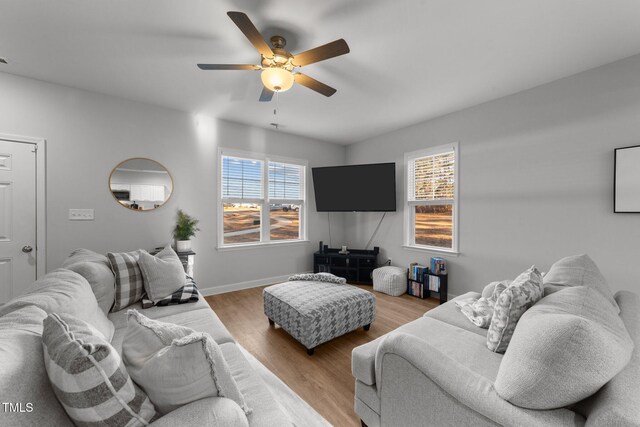 living room featuring ceiling fan, a healthy amount of sunlight, and light wood-type flooring