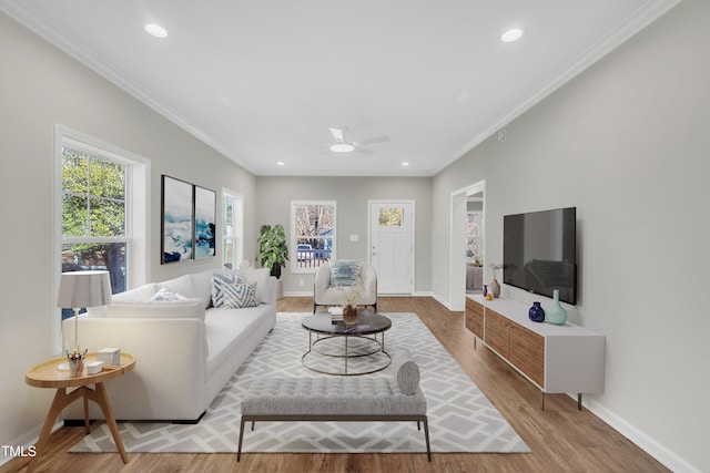 living room with light hardwood / wood-style floors, ceiling fan, and ornamental molding