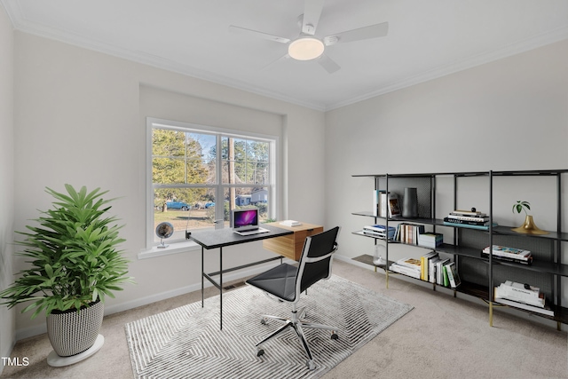 carpeted home office with ceiling fan and crown molding