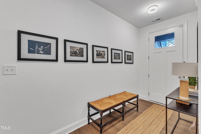 entryway featuring hardwood / wood-style flooring