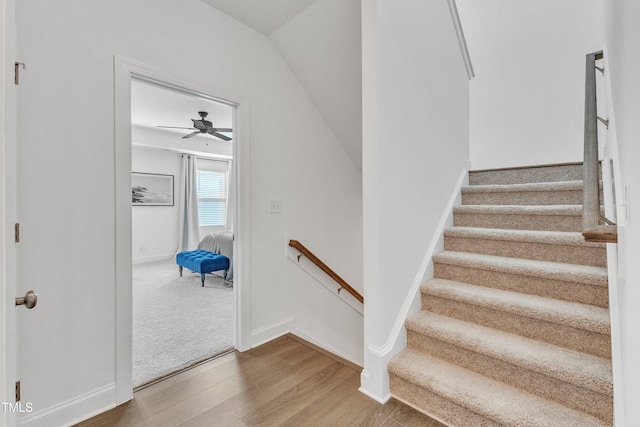 stairway featuring ceiling fan and wood-type flooring