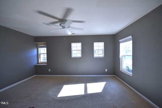 spare room with carpet floors, ceiling fan, and plenty of natural light