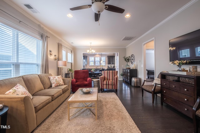 living room featuring crown molding, dark wood-type flooring, and ceiling fan with notable chandelier