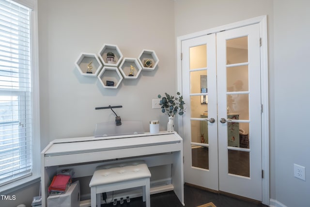 miscellaneous room with a wealth of natural light and french doors