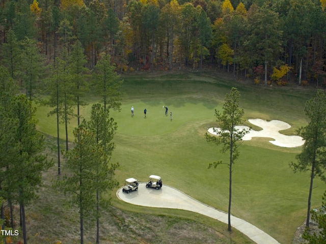 view of community with golf course view