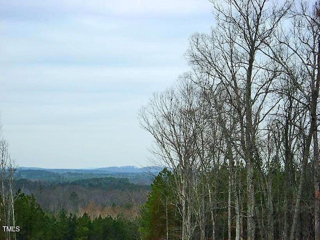 property view of mountains featuring a forest view