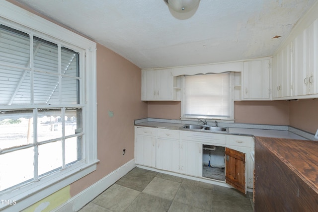 kitchen with white cabinets and sink